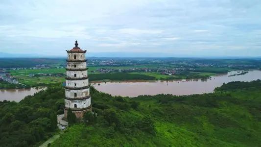 新会陈皮我与故乡的纽带