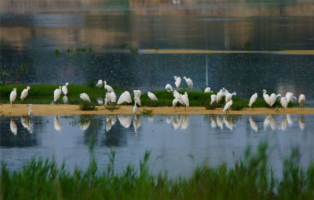 2021·座標:黃水河溼地公園春日乍暖還寒,幸好豔陽仍在.