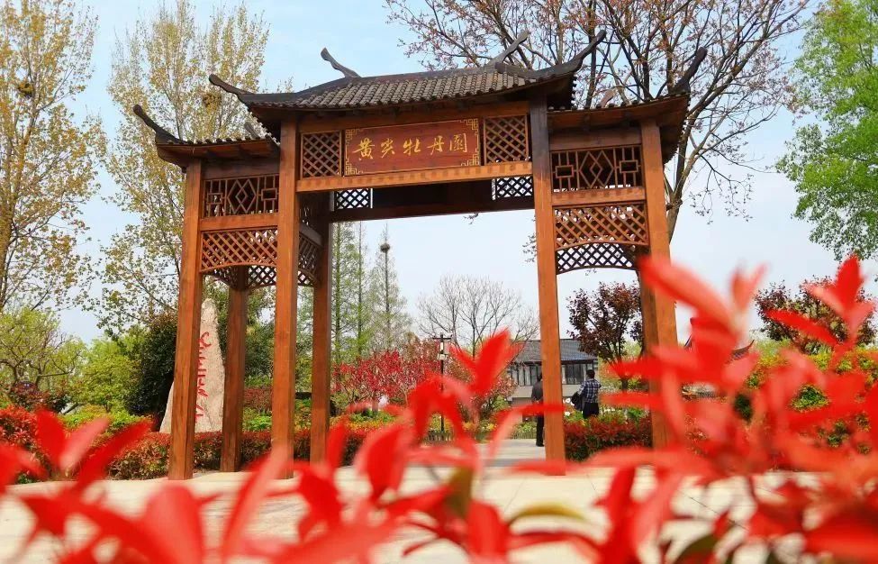 邂逅人间最美四月天 2021中国丹顶鹤小镇牡丹文化节即将启幕!_腾讯新