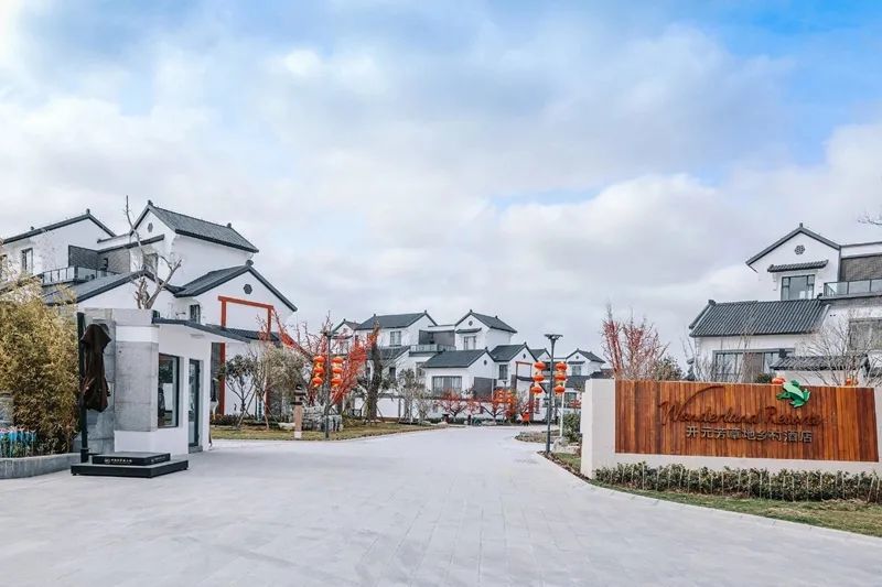 邂逅人间最美四月天2021中国丹顶鹤小镇牡丹文化节即将启幕