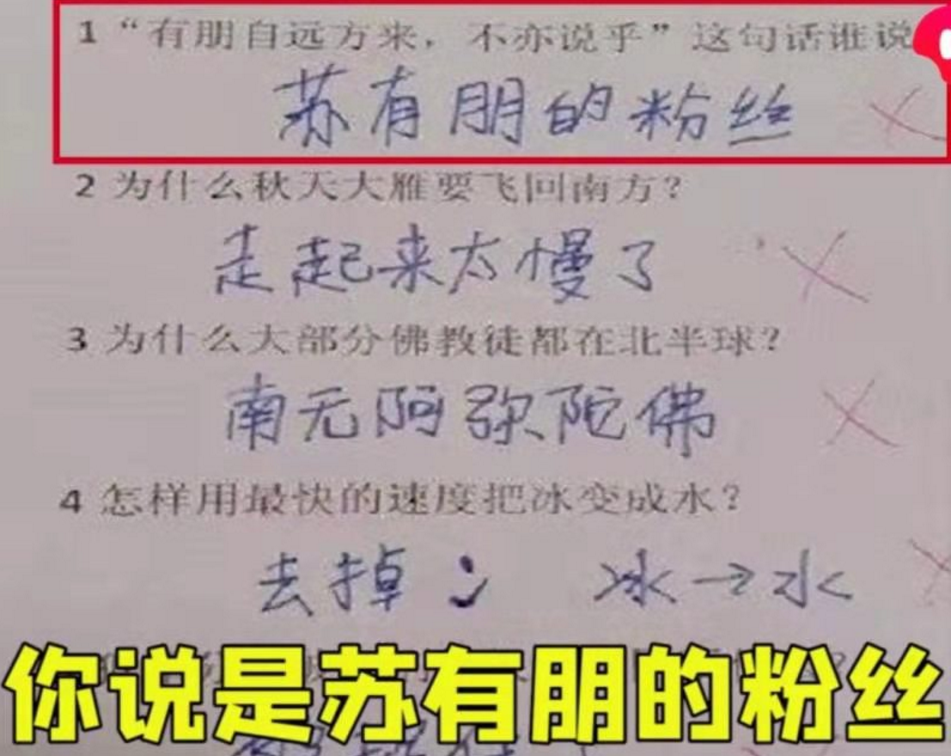 蝙蝠身上插鸡毛 算什么鸟 小学生写歇后语火了 老师哭笑不得 腾讯新闻