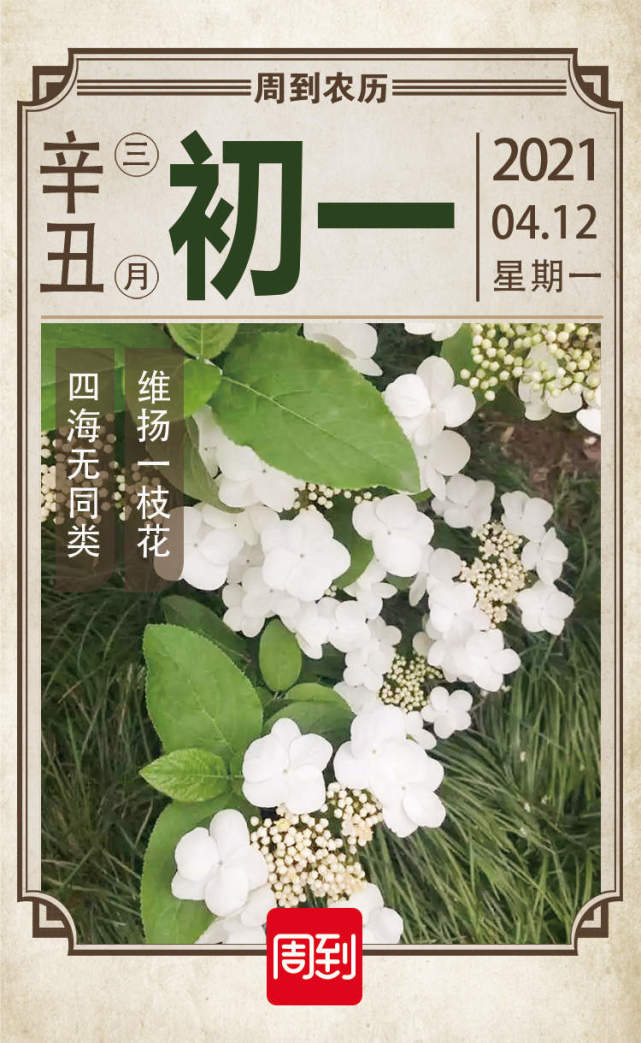 农历中国三月初一琼花仙仙