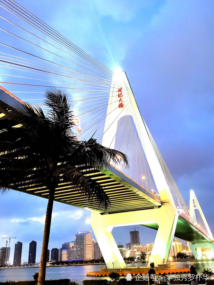 海口湾网红新地标云洞读书馆出乎意料的惊艳