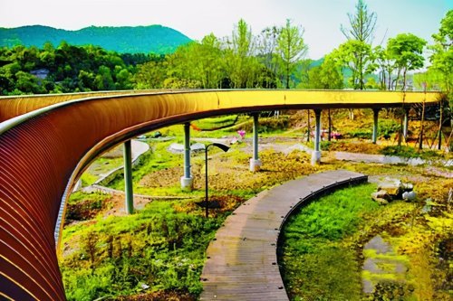 激动柳家坝滨江湿地公园最新照片曝光简直太美了