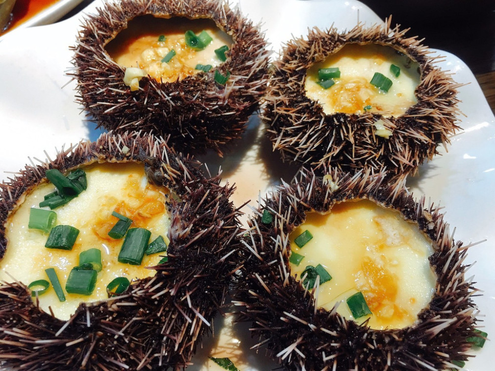 三亚海胆蒸蛋没海胆6个鸡蛋卖200元旅游环境真该向重庆学学