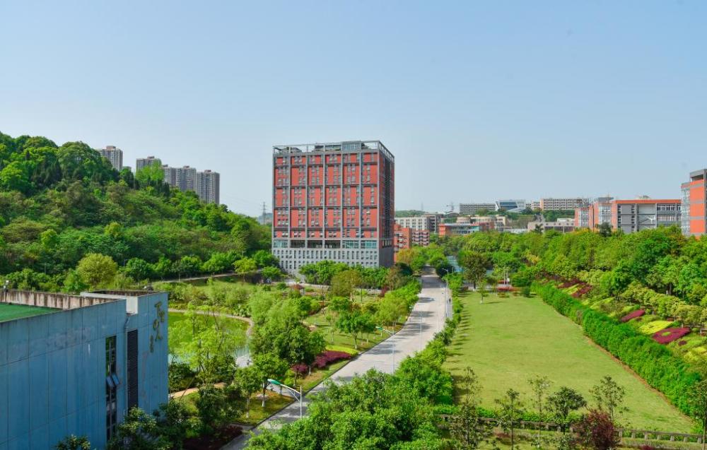 给家长们的一封信