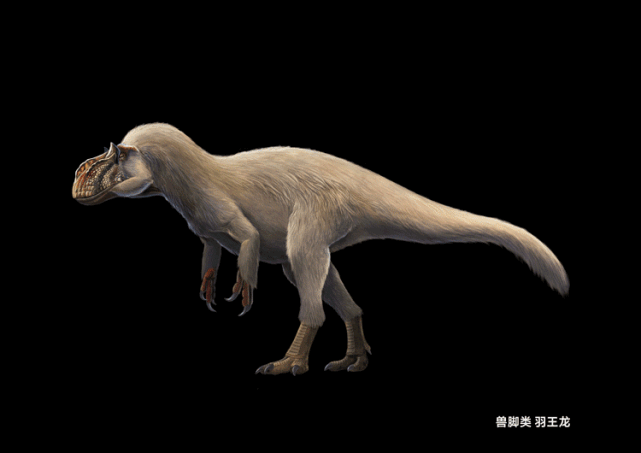 重现中国恐龙图景(内含福利)|琥珀|徐星|恐龙|地球|邢立达