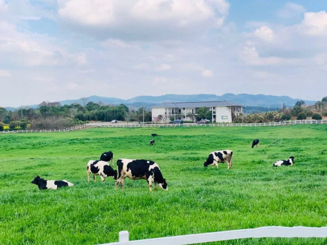 德阳原野有机牧场