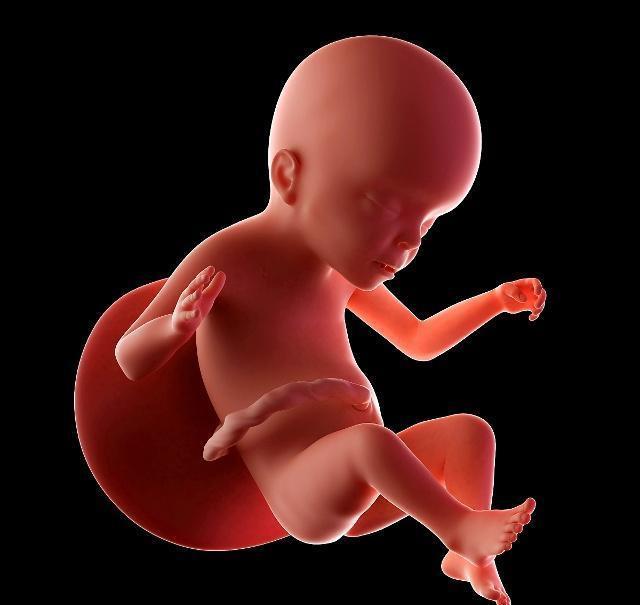 的时候会给宝宝喂水或者是喂奶,其实胎儿在孕妈妈的肚子里打嗝的时候