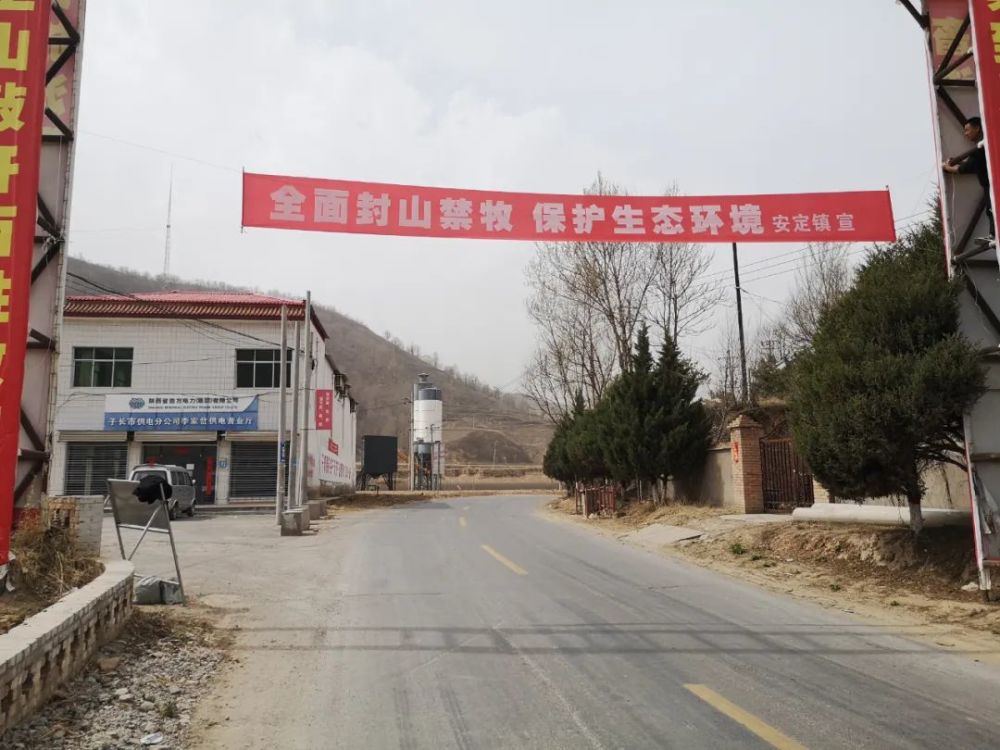 安定镇打出禁牧组合拳守护青山筑屏障