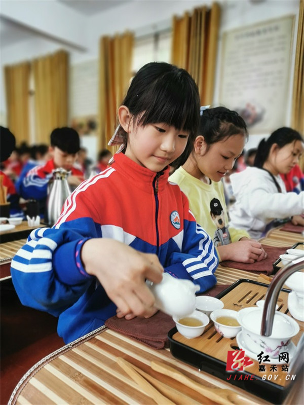 相伴青山下素手採新茶記群英學校體驗茶文化研學旅行