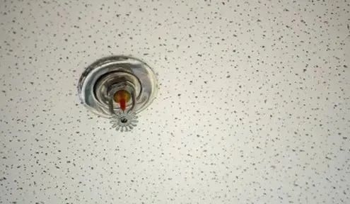 仓库意外失火竟是它立了大功