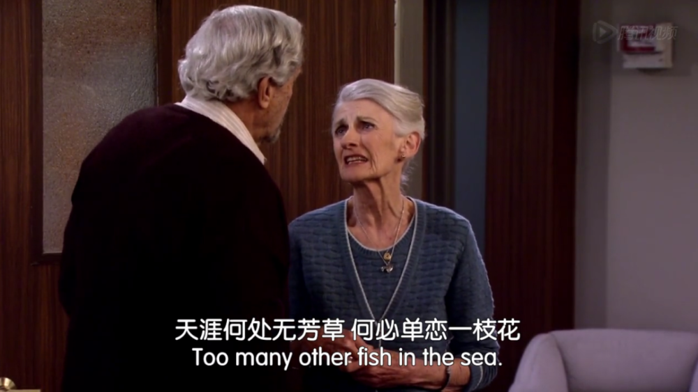 醒醒吧 天涯何处无芳草 的英语中没花没草 全是 Fish 腾讯新闻