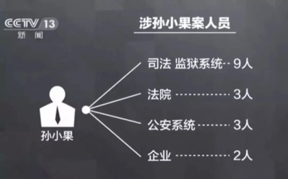 孙小果一案细节曝光,70岁妈妈被判20年:溺爱,是最残忍的杀害!