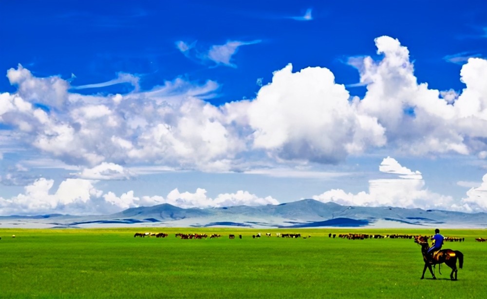 世界四大草原之一位于我国的蒙古被誉为北方游牧民族摇篮
