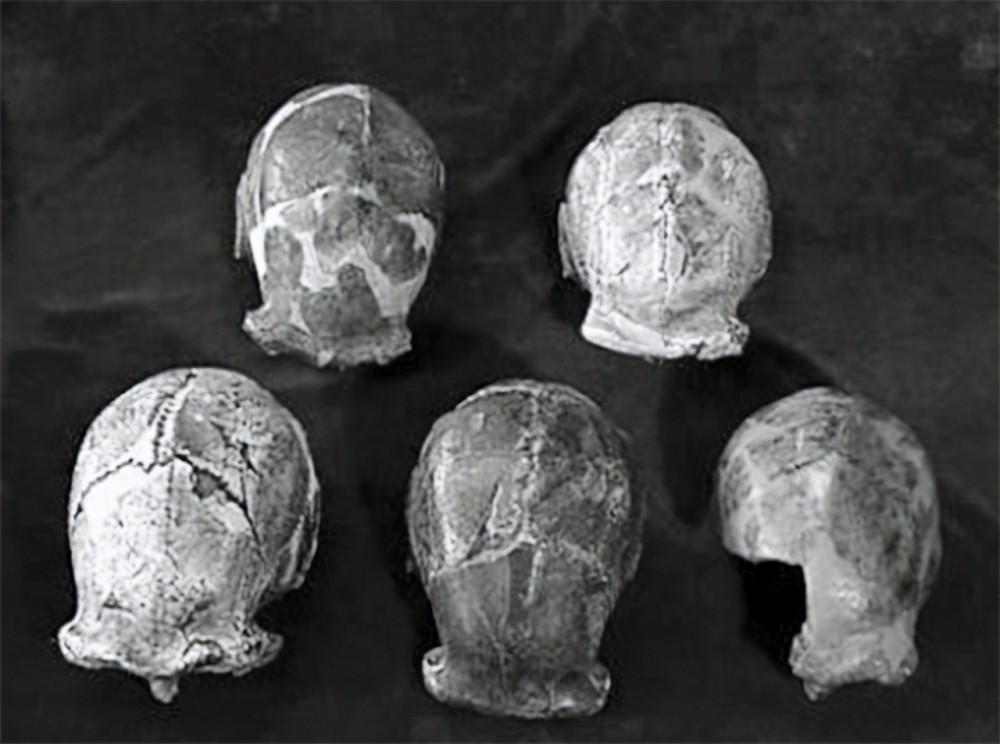 最后见到北京人头盖骨的人 胡承志回忆 中美考古专家打包好箱子 腾讯新闻