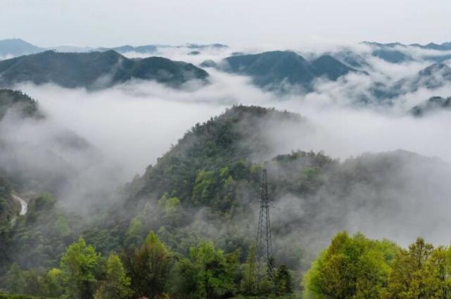 最是一年春好處雲霧中鹿亭鄉宛若仙境