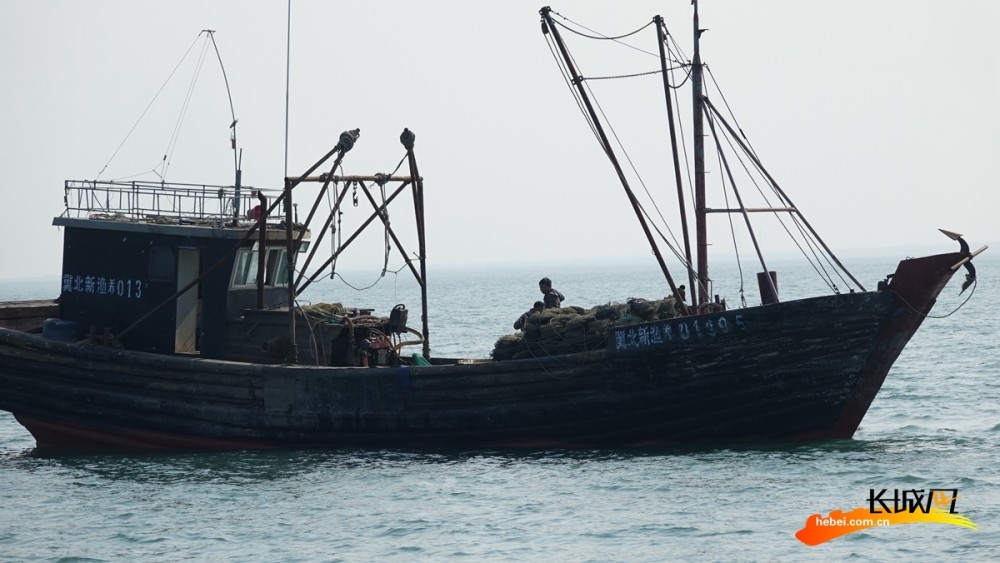 在秦皇岛市北戴河新区新开口码头,一艘渔船正在靠泊.