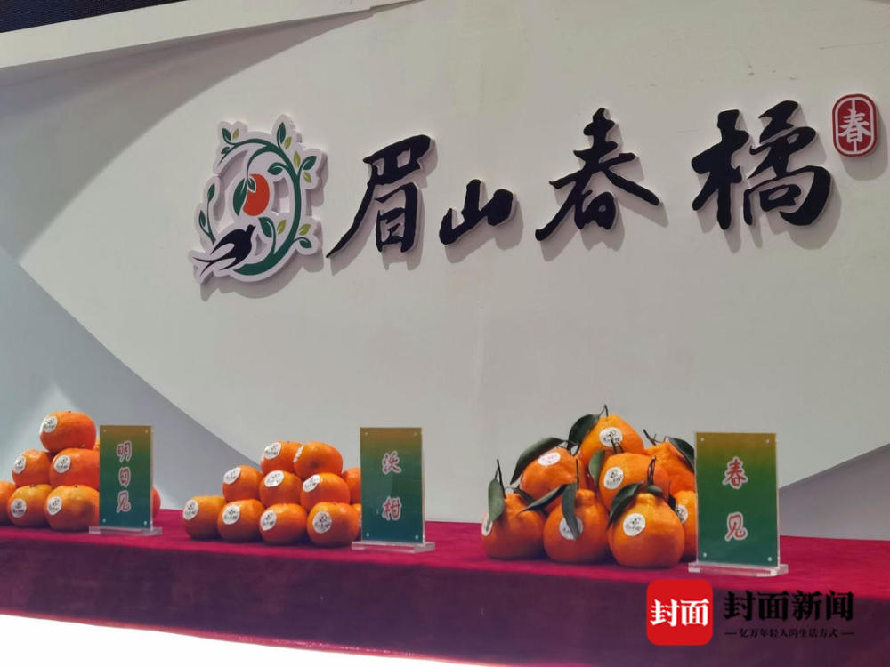 四川眉山春橘集中开会谋发展已助当地百万人人均增收上万元