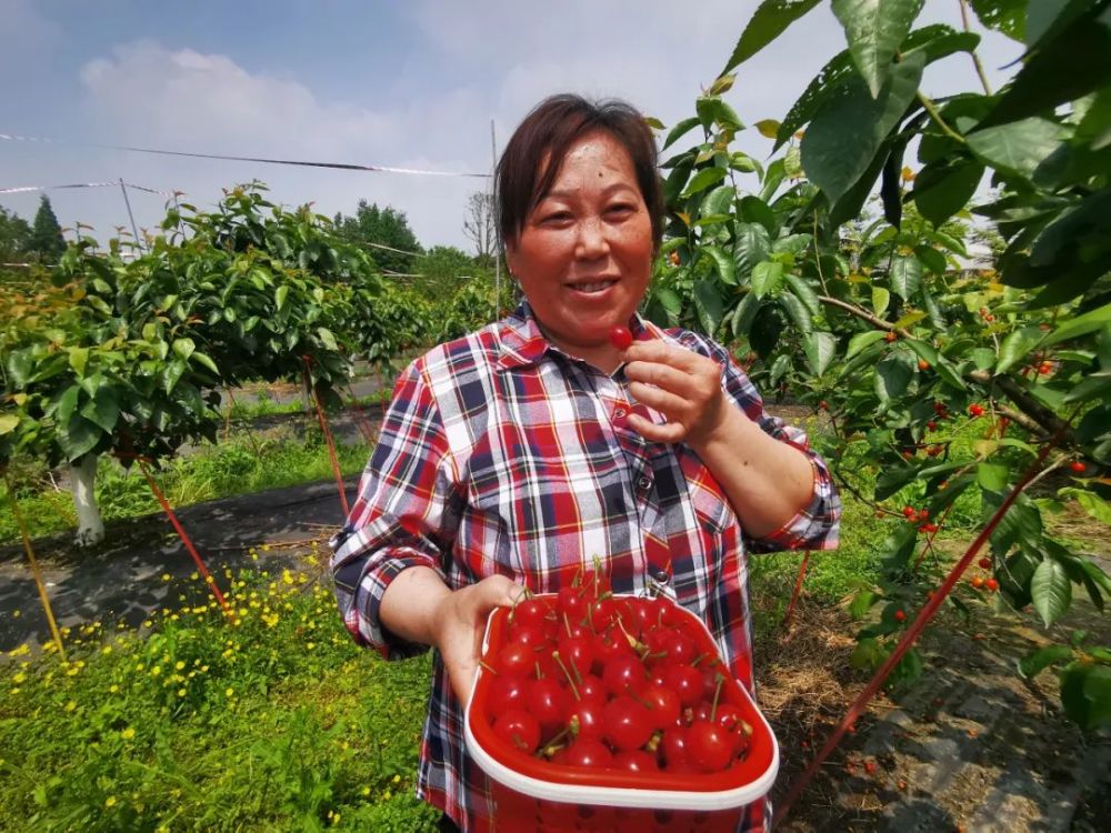 降降降!双流人表示最近太忙了!(文末有福利)