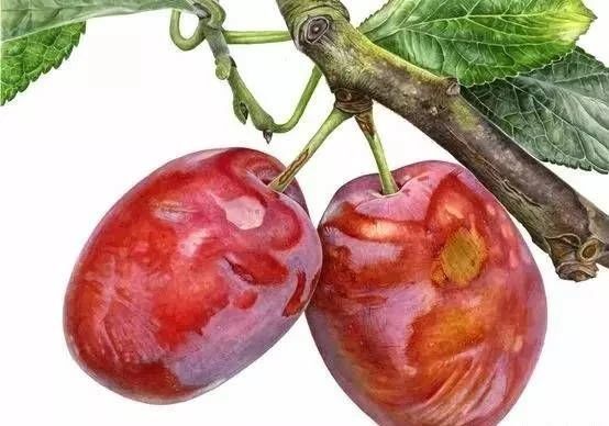 英国水彩自学画家 anna knights|分享_腾讯新闻