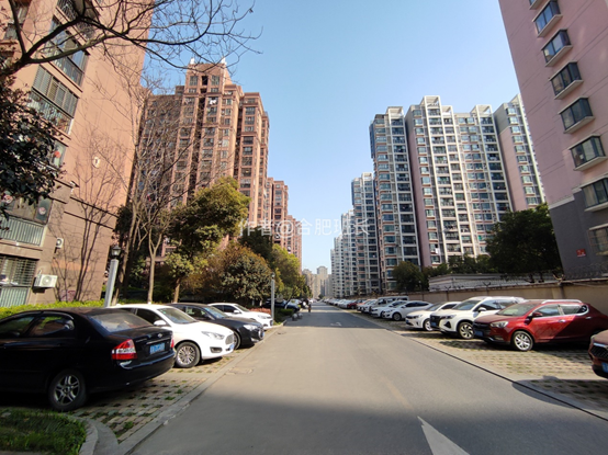 人在家中坐,财从天上来,实探168玫瑰园南的光明观澜华庭!