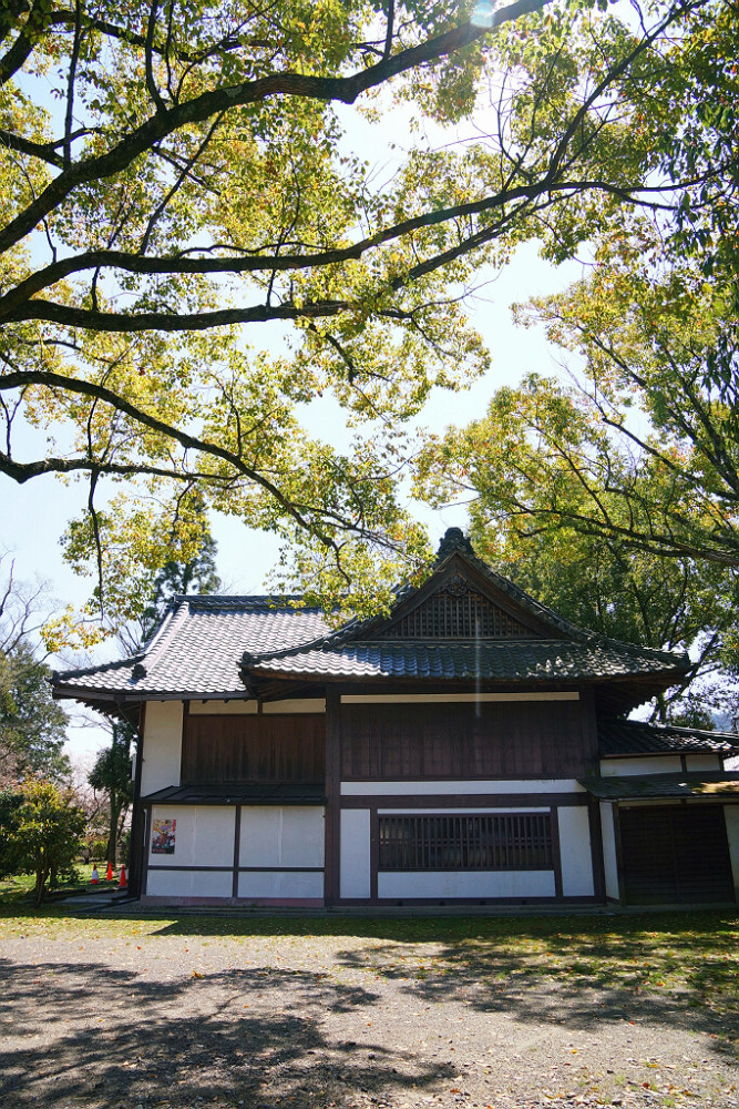 日本小众赏樱京都清凉寺人静花开绝美惊叹