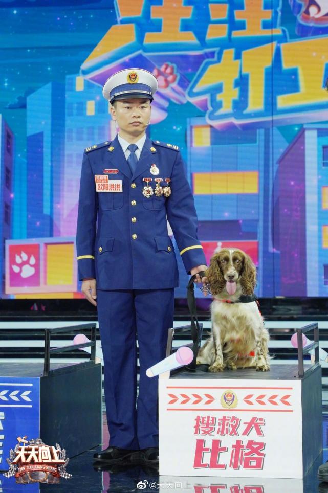 汶川救援最后一只功勋犬亮相《天天》,南京训导员:待他如初恋