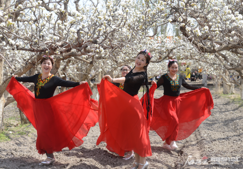 库尔勒市第五届香梨文化旅游节暨"梨花节"开幕