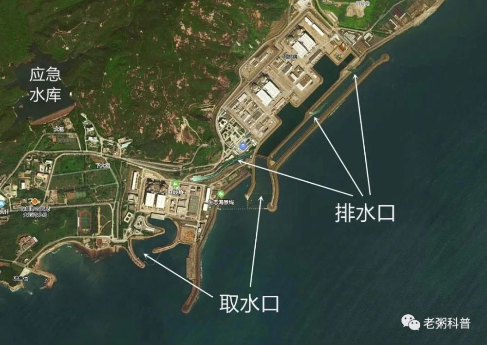 广东大亚湾核电站建在海边,是为了偷排核废水?这是谣言!