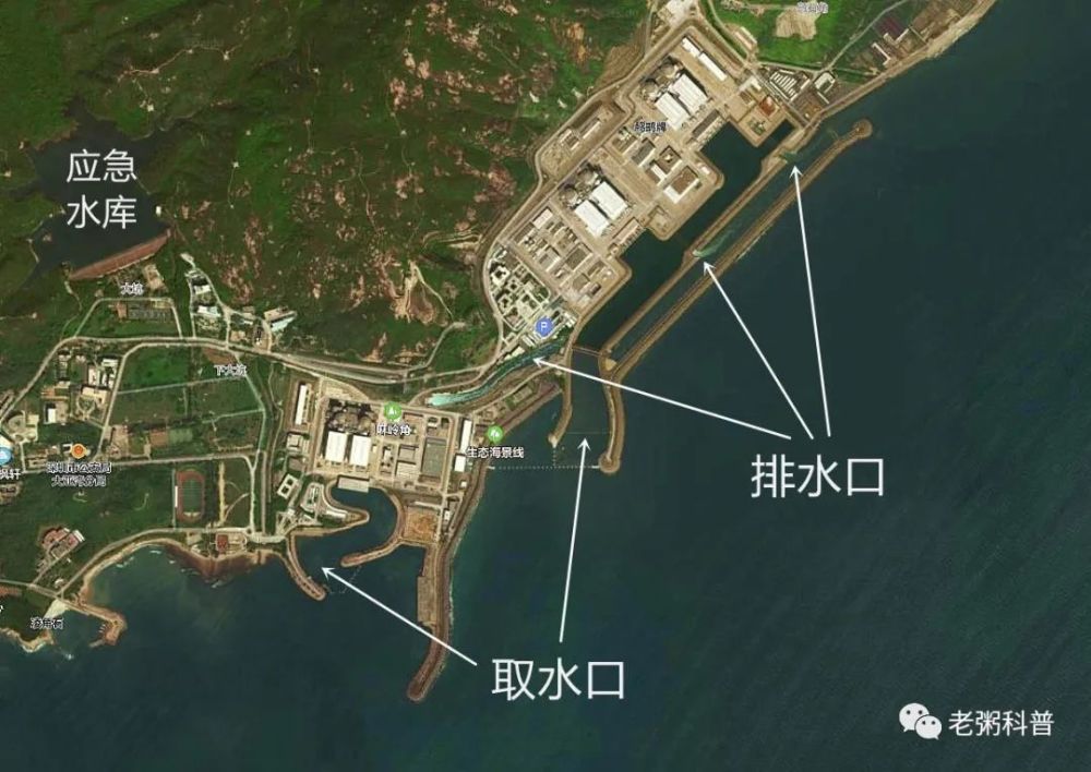 广东大亚湾核电站建在海边,是为了偷排核废水?这是谣言!_腾讯新闻