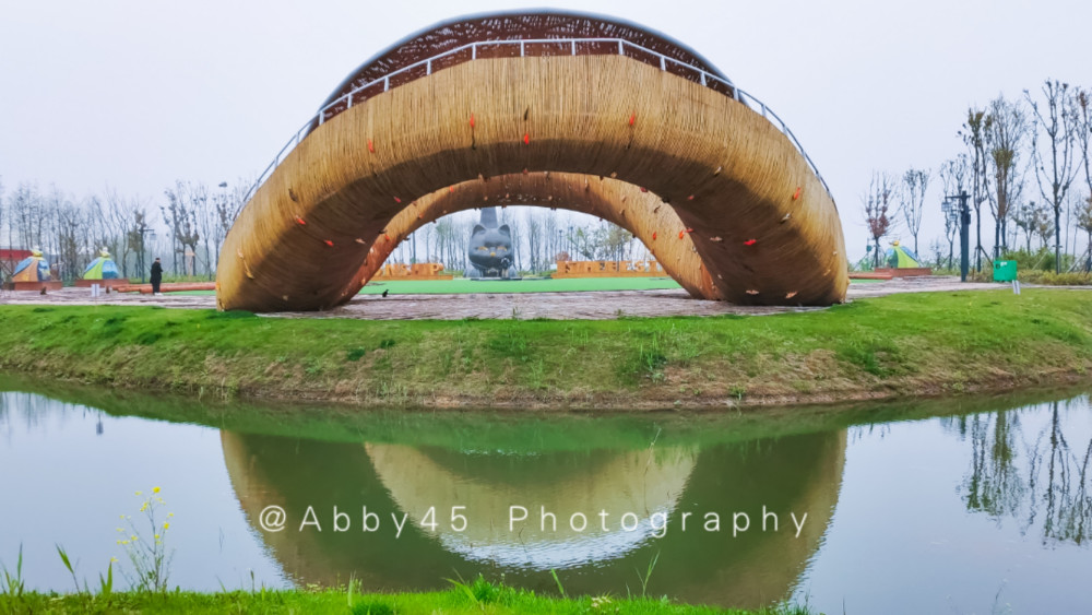 江苏淮安有个神奇的肥猫岛不仅是猫的世界更是铲屎官的天堂