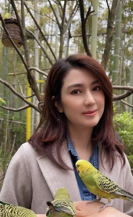 他和洪欣都没有同框或者互动,不少人猜测这两个人或许离婚了