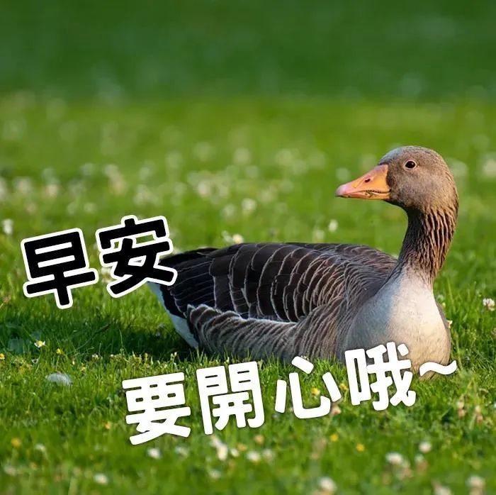 早上好朋友早上好朋友阳光的早安问候祝福语图片新版早上好祝福图片带