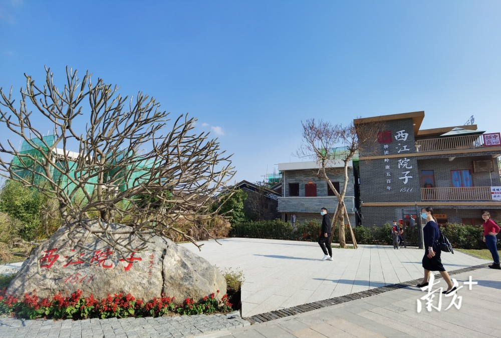 设两千万元专项资金三水白坭打造乡村全域振兴样板