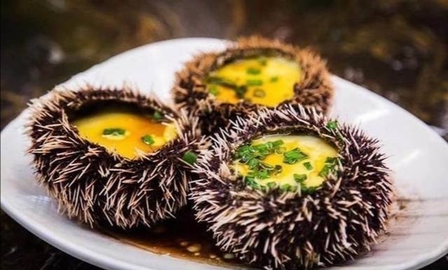 三亚海胆蒸蛋没有海胆事件消费者有95的可能性被起诉