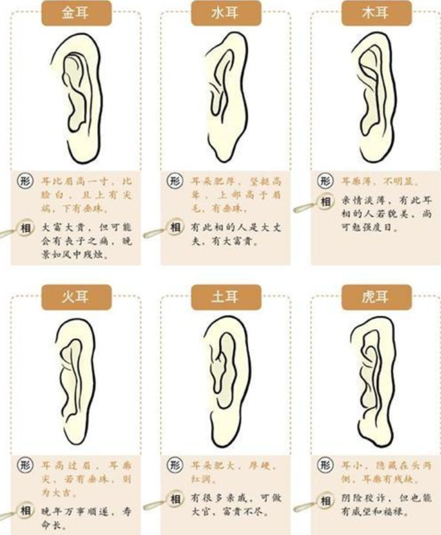 4个部位越大,家庭越好,加项运动效果更好_腾讯新闻