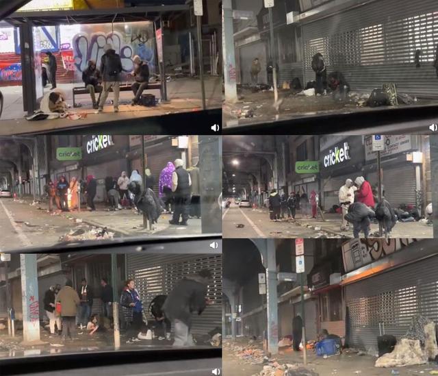 美国水深火热华人为何还不回国 在美清华精英一席话让人难以反驳 腾讯新闻