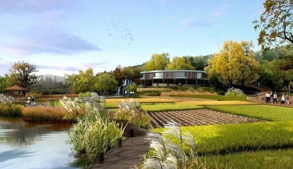 康养景观设计要点