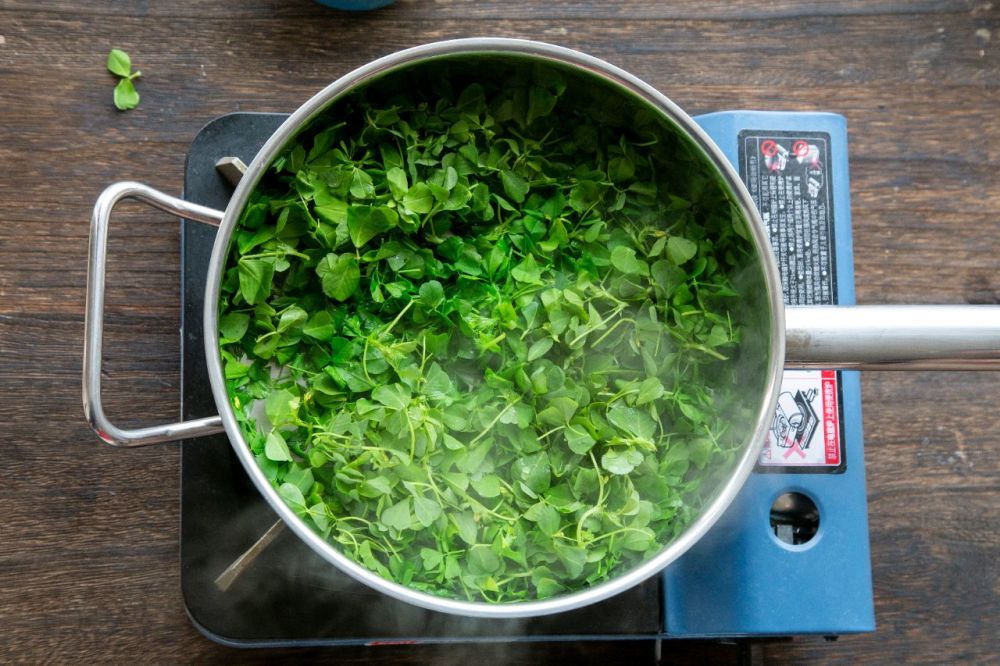 炒肥肠时,加点这个应季菜,口感鲜香,清爽不油腻_腾讯新闻