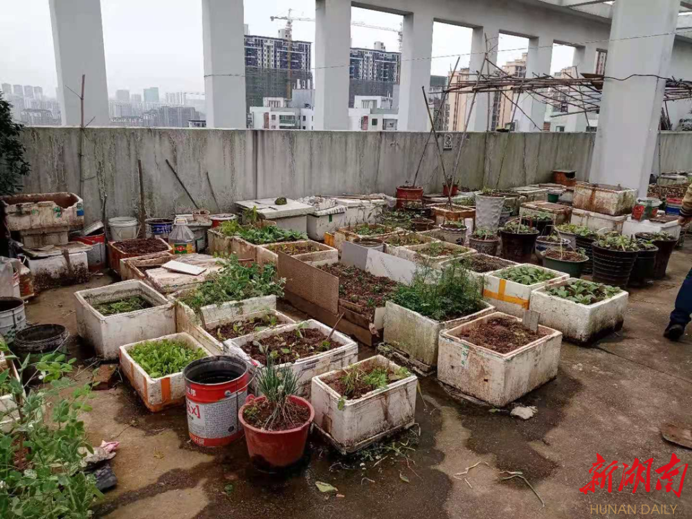 東屯渡街道開展整治