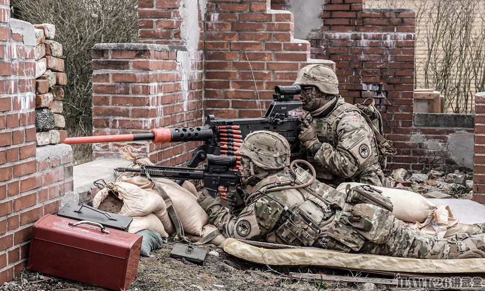 丹麦高级军官视察演习现场.对士兵表示慰问.