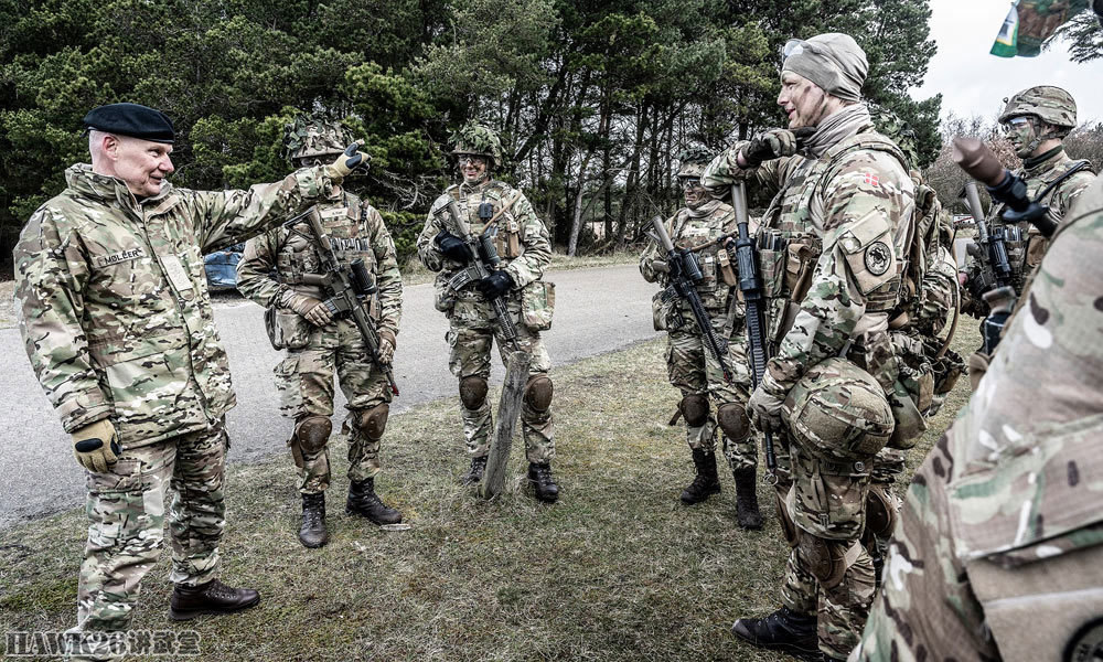 丹麦高级军官视察演习现场.对士兵表示慰问.