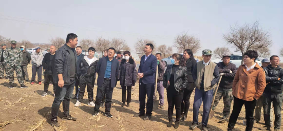 梨树县霍家店街道组织召开梨树模式现场会