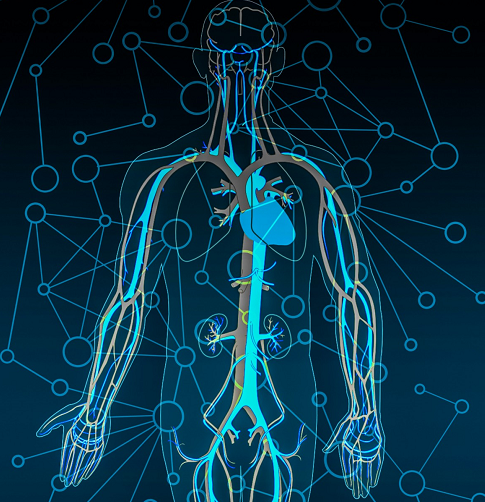 心脑血管疾病卷入"年轻战场",这类人群风险最高