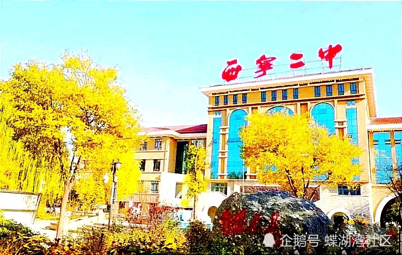 西宁火锅排行榜_今关注西宁一火锅店汤料烫伤顾客!