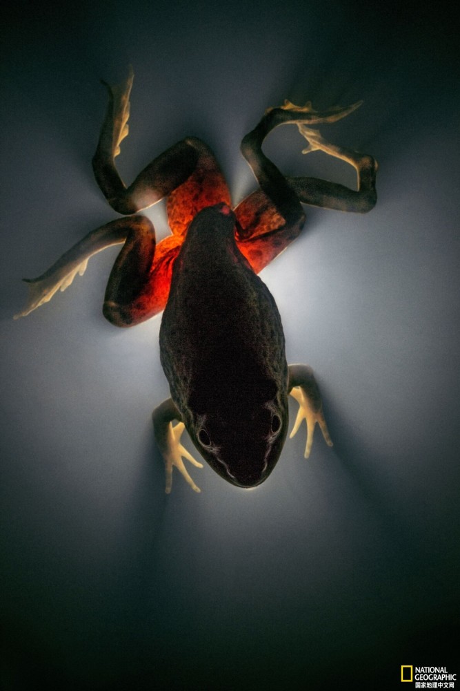 你知道吗 如果没了寄生虫 人类也就要没了 腾讯新闻