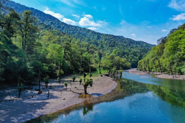 荥经县|雅安|牛背山|大相岭|龙苍沟镇