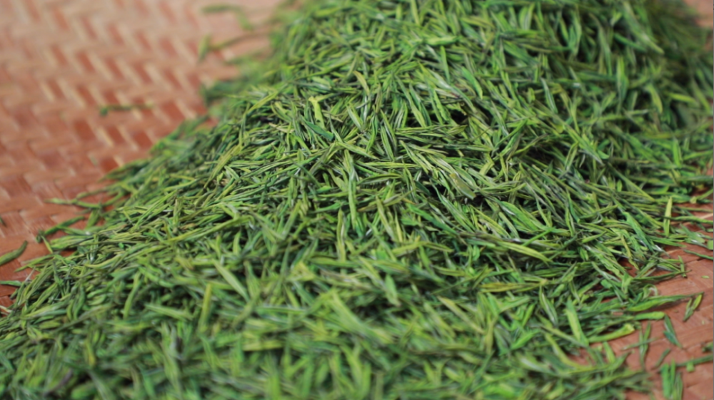 黎平明前茶干茶产值突破2亿元