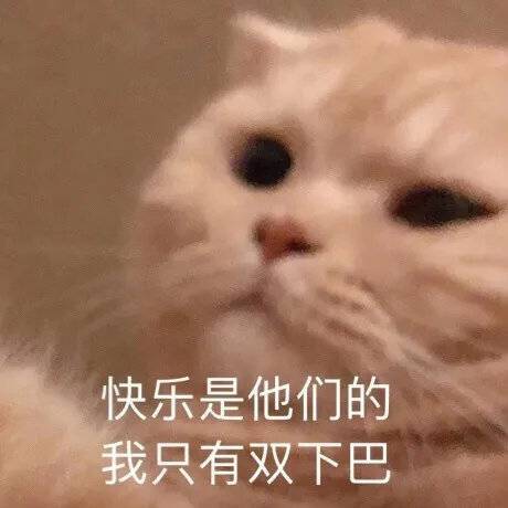 超可爱的表情包快乐是他们的我只有双下巴